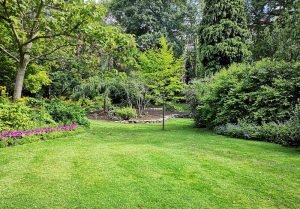 Optimiser l'expérience du jardin à Celles-sur-Plaine